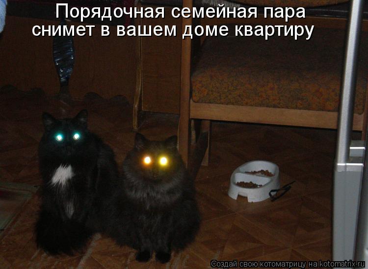 Порядочная семейная пара снимет в вашем доме квартиру... Котоматрица: Порядочная семейная пара снимет в вашем доме квартиру