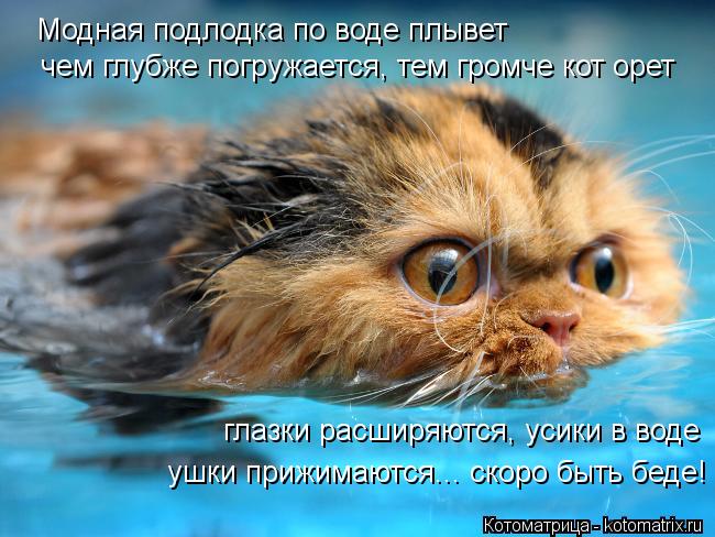Модная подлодка по воде плывет чем глубже погружается, тем громче кот орет глазки расширяются, усики ... Котоматрица: Модная подлодка по воде плывет чем глубже погружается, тем громче кот орет глазки расширяются, усики в воде ушки прижимаются... скоро быть б