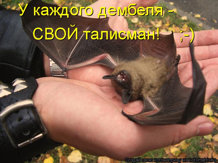 У каждого дембеля - СВОЙ талисман! ;-)... Котоматрица: У каждого дембеля - СВОЙ талисман! ;-)