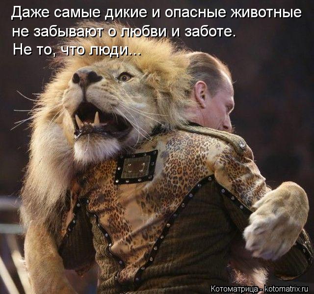 Даже самые дикие и опасные животные не забывают о любви и заботе. Не то, что люди...... Котоматрица: Даже самые дикие и опасные животные не забывают о любви и заботе. Не то, что люди...