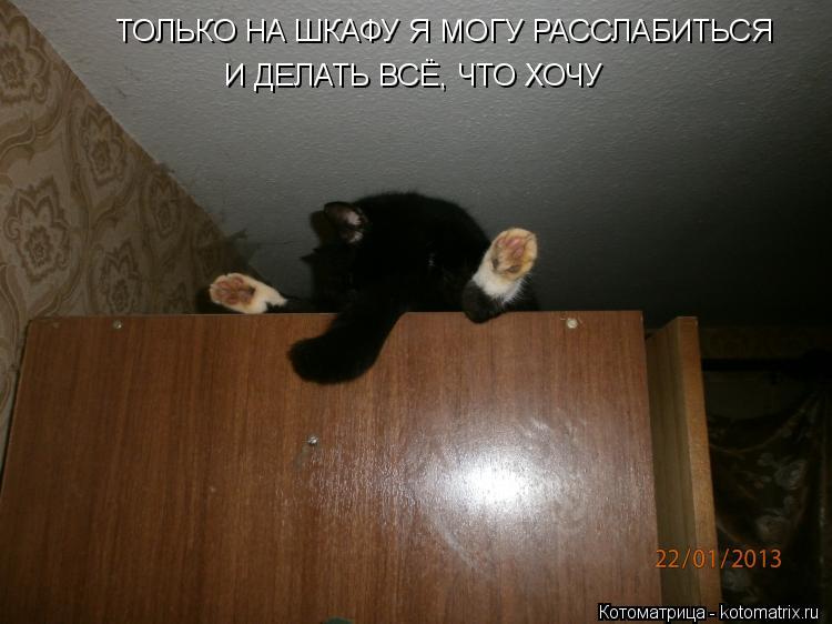 ТОЛЬКО НА ШКАФУ Я МОГУ РАССЛАБИТЬСЯ И ДЕЛАТЬ ВСЁ, ЧТО ХОЧУ... Котоматрица: ТОЛЬКО НА ШКАФУ Я МОГУ РАССЛАБИТЬСЯ И ДЕЛАТЬ ВСЁ, ЧТО ХОЧУ