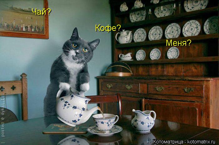 Чай? Кофе? Меня?... Котоматрица: Чай? Кофе? Меня?
