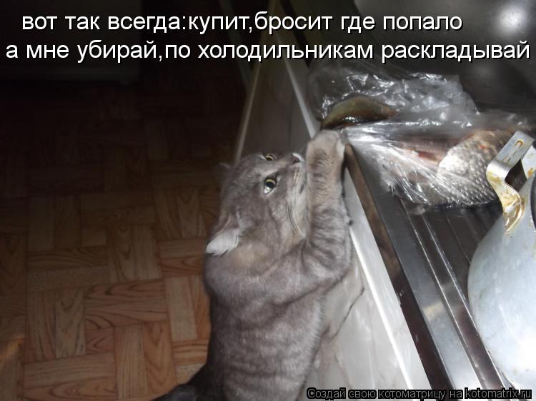 вот так всегда:купит,бросит где попало а мне убирай,по холодильникам раскладывай... Котоматрица: вот так всегда:купит,бросит где попало а мне убирай,по холодильникам раскладывай
