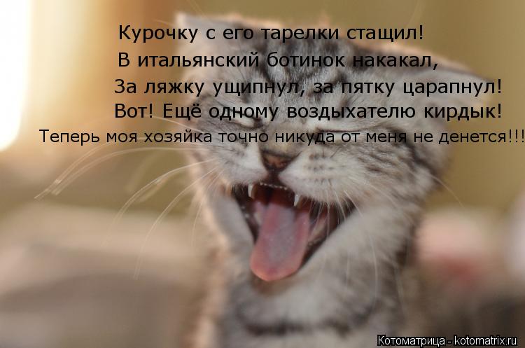 Курочку с его тарелки стащил! В итальянский ботинок накакал, За ляжку ущипнул, за пятку царапнул! Вот... Котоматрица: Курочку с его тарелки стащил! В итальянский ботинок накакал, За ляжку ущипнул, за пятку царапнул! Вот! Ещё одному воздыхателю кирдык! Теперь