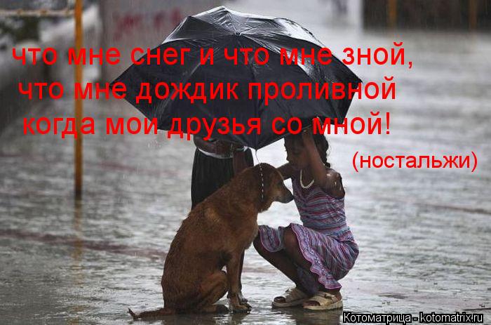 что мне снег и что мне зной, что мне дождик проливной когда мои друзья со мной! (ностальжи)... Котоматрица: что мне снег и что мне зной, что мне дождик проливной когда мои друзья со мной! (ностальжи)