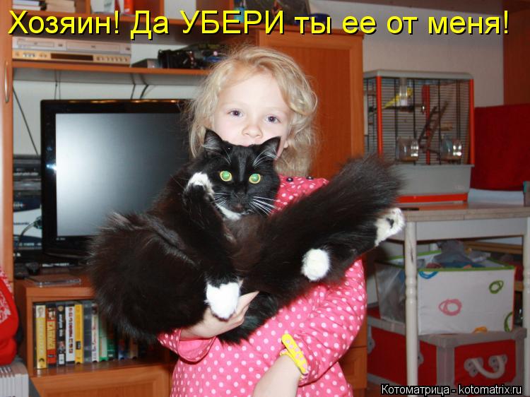 Хозяин! Да УБЕРИ ты ее от меня!... Котоматрица: Хозяин! Да УБЕРИ ты ее от меня!