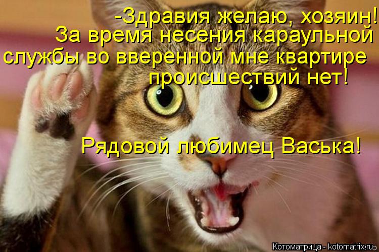 -Здравия желаю, хозяин! За время несения караульной службы во вверенной мне квартире Рядовой любимец... Котоматрица: -Здравия желаю, хозяин! За время несения караульной службы во вверенной мне квартире Рядовой любимец Васька! происшествий нет!
