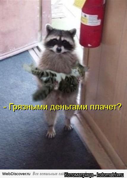 - Грязными деньгами плачет?... Котоматрица: - Грязными деньгами плачет?