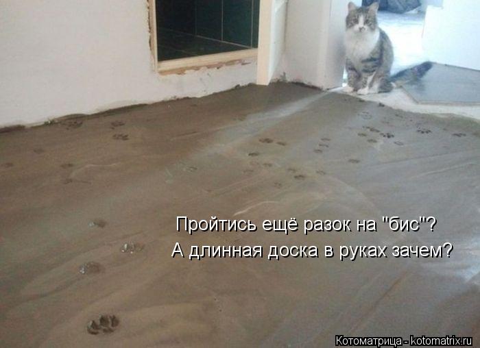 Пройтись ещё разок на "бис"? А длинная доска в руках зачем?... Котоматрица: Пройтись ещё разок на "бис"? А длинная доска в руках зачем?