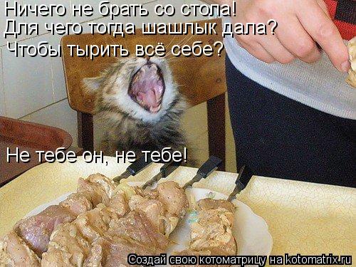 Ничего не брать со стола! Для чего тогда шашлык дала? Чтобы тырить всё себе? Не тебе он, не тебе!... Котоматрица: Ничего не брать со стола! Для чего тогда шашлык дала? Чтобы тырить всё себе? Не тебе он, не тебе!