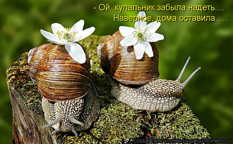 - Ой, купальник забыла надеть.... Наверное, дома оставила........ Котоматрица: - Ой, купальник забыла надеть.... Наверное, дома оставила.....