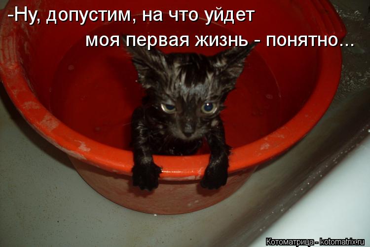 -Ну, допустим, на что уйдет моя первая жизнь - понятно...... Котоматрица: -Ну, допустим, на что уйдет моя первая жизнь - понятно...