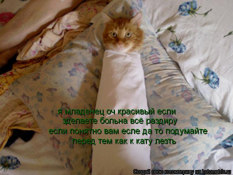 я младенец оч красивый если зделаете больна всё раздиру если понятно вам есле да то подумайте перед ... Котоматрица: я младенец оч красивый если зделаете больна всё раздиру если понятно вам есле да то подумайте перед тем как к кату лезть