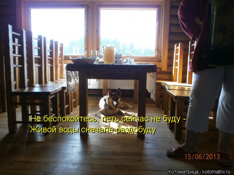 Не беспокойтесь, петь сейчас не буду - Живой воды сначала раздобуду... Котоматрица: Не беспокойтесь, петь сейчас не буду - Живой воды сначала раздобуду