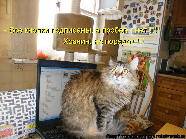- Все кнопки подписаны, а пробел - нет !!!! Хозяин, не порядок !!!... Котоматрица: - Все кнопки подписаны, а пробел - нет !!!! Хозяин, не порядок !!!