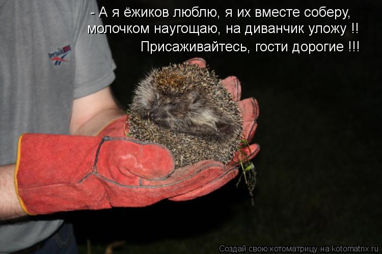 - А я ёжиков люблю, я их вместе соберу, молочком наугощаю, на диванчик уложу !! Присаживайтесь, гости... Котоматрица: - А я ёжиков люблю, я их вместе соберу, молочком наугощаю, на диванчик уложу !! Присаживайтесь, гости дорогие !!!