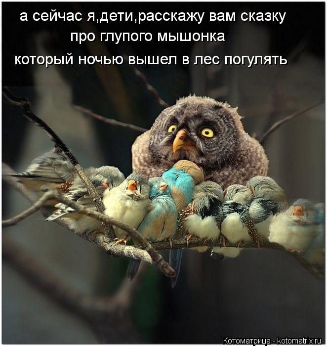 а сейчас я,дети,расскажу вам сказку про глупого мышонка который ночью вышел в лес погулять... Котоматрица: а сейчас я,дети,расскажу вам сказку про глупого мышонка который ночью вышел в лес погулять