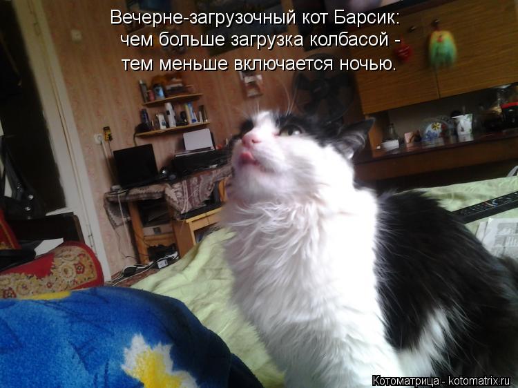 Вечерне-загрузочный кот Барсик: чем больше загрузка колбасой - тем меньше включается ночью.... Котоматрица: Вечерне-загрузочный кот Барсик: чем больше загрузка колбасой - тем меньше включается ночью.