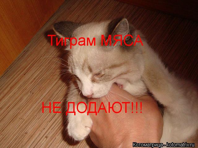 Тиграм МЯСА НЕ ДОДАЮТ!!!... Котоматрица: Тиграм МЯСА НЕ ДОДАЮТ!!!