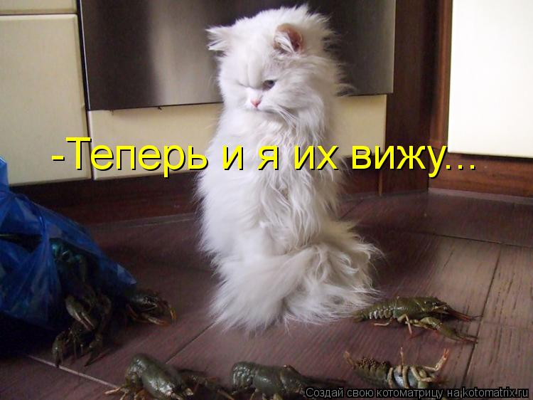 -Теперь и я их вижу...... Котоматрица: -Теперь и я их вижу...