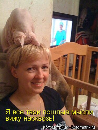 Я все твои пошлые мысли вижу насквозь!... Котоматрица: Я все твои пошлые мысли вижу насквозь!
