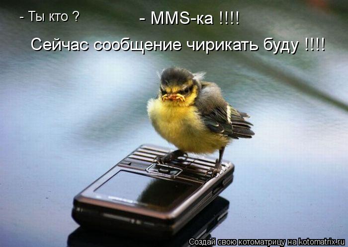 - Ты кто ? - MMS-ка !!!! Сейчас сообщение чирикать буду !!!!... Котоматрица: - Ты кто ? - MMS-ка !!!! Сейчас сообщение чирикать буду !!!!