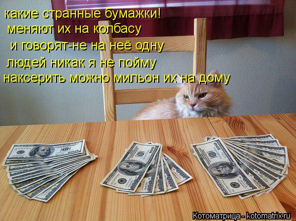 какие странные бумажки! меняют их на колбасу и говорят-не на неё одну людей никак я не пойму наксерит... Котоматрица: какие странные бумажки! меняют их на колбасу и говорят-не на неё одну людей никак я не пойму наксерить можно мильон их на дому