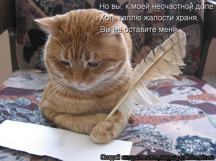 Но вы, к моей несчастной доле Хоть каплю жалости храня, Вы не оставите меня.... Котоматрица: Но вы, к моей несчастной доле Хоть каплю жалости храня, Вы не оставите меня.