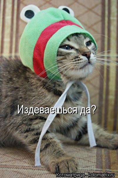 Издеваешься да?... Котоматрица: Издеваешься да?