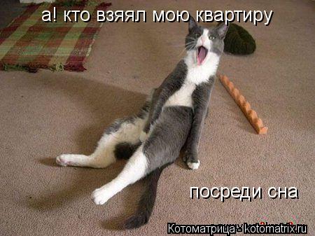 а! кто взяял мою квартиру посреди сна... Котоматрица: а! кто взяял мою квартиру посреди сна