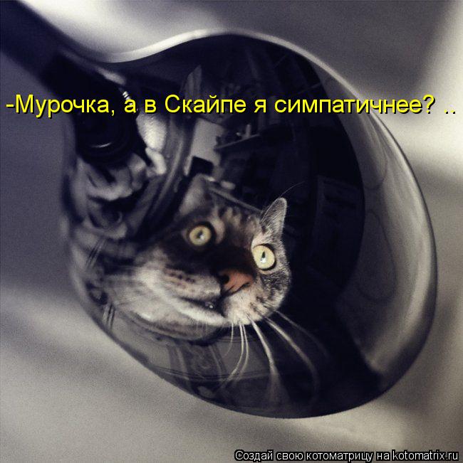 -Мурочка, а в Скайпе я симпатичнее? ..... Котоматрица: -Мурочка, а в Скайпе я симпатичнее? ..