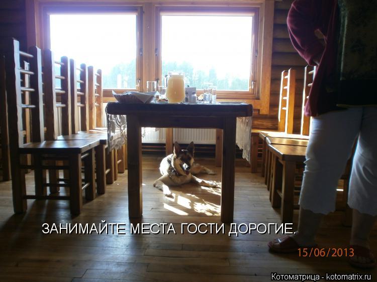 ЗАНИМАЙТЕ МЕСТА ГОСТИ ДОРОГИЕ.... Котоматрица: ЗАНИМАЙТЕ МЕСТА ГОСТИ ДОРОГИЕ.