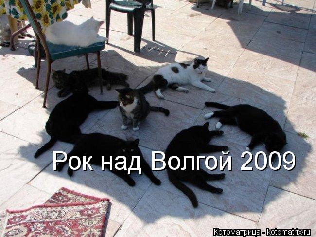 Рок над Волгой 2009... Котоматрица: Рок над Волгой 2009