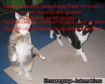 Научился на двух лапах перед Вами тут ходить! Не послать бы всех мне на хрен! Да боюсь детей смутить!... Котоматрица: Научился на двух лапах перед Вами тут ходить! Не послать бы всех мне на хрен! Да боюсь детей смутить! Покорми скорей, хозяйка!!! Воду в ступе н
