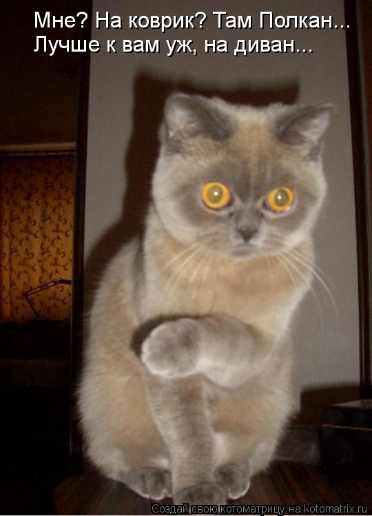 Мне? На коврик? Там Полкан... Лучше к вам уж, на диван...... Котоматрица: Мне? На коврик? Там Полкан... Лучше к вам уж, на диван...