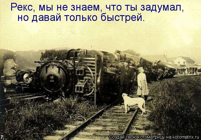 Рекс, мы не знаем, что ты задумал, но давай только быстрей.... Котоматрица: Рекс, мы не знаем, что ты задумал, но давай только быстрей.