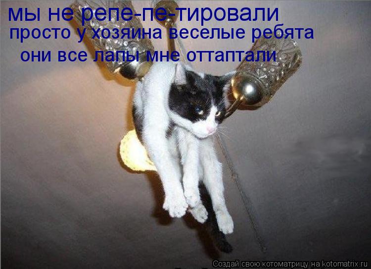 мы не репе-пе-тировали просто у хозяина веселые ребята они все лапы мне оттаптали... Котоматрица: мы не репе-пе-тировали просто у хозяина веселые ребята они все лапы мне оттаптали