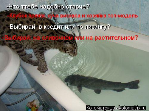 -Что ттебе надобно старче? -Клубок пряжи, куча вискаса и хозяйка топ-модель -Выбирай: в кредит или по... Котоматрица: -Что ттебе надобно старче? -Клубок пряжи, куча вискаса и хозяйка топ-модель -Выбирай: в кредит или по лизингу? -Выбирай: на сливочном или на ра