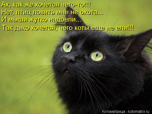 Ах, как же хочется чего-то!!! Нет, птиц ловить мне не охота... И мыши жутко надоели... Так дико хочет... Котоматрица: Ах, как же хочется чего-то!!! Нет, птиц ловить мне не охота... И мыши жутко надоели... Так дико хочется, чего коты еще не ели!!!