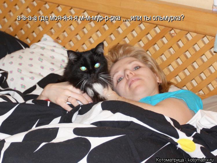 а-а-а-а где моя-я-я-я м-м-мур-р-рка ,,,,,или ты ольмурка?... Котоматрица: а-а-а-а где моя-я-я-я м-м-мур-р-рка ,,,,,или ты ольмурка?