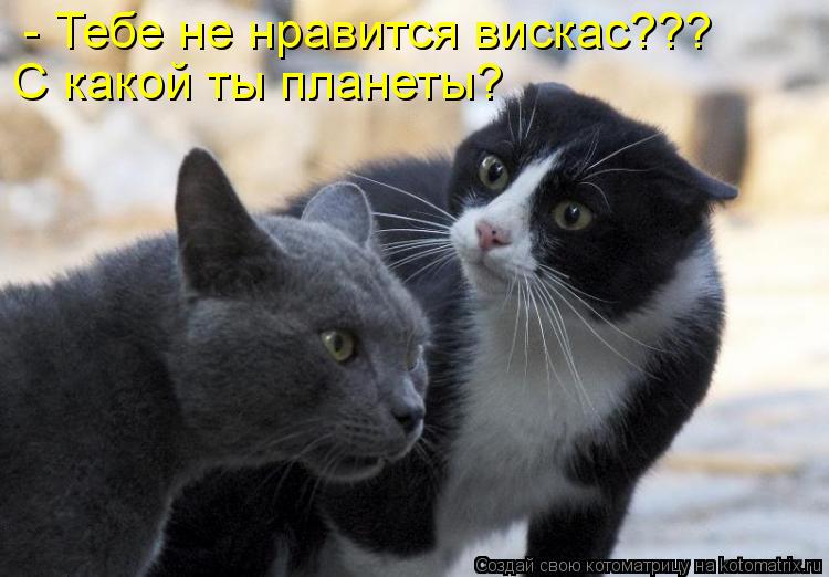 - Тебе не нравится вискас??? С какой ты планеты?... Котоматрица: - Тебе не нравится вискас??? С какой ты планеты?