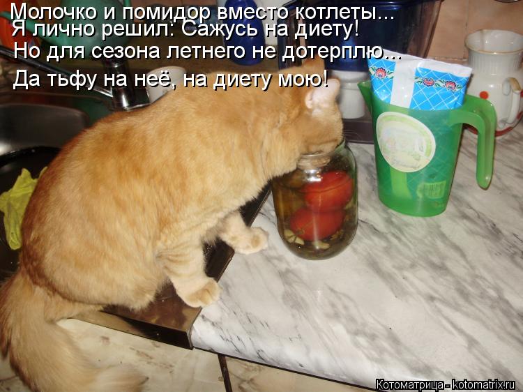 Молочко и помидор вместо котлеты... Я лично решил: Сажусь на диету! Но для сезона летнего не дотерплю... Котоматрица: Молочко и помидор вместо котлеты... Я лично решил: Сажусь на диету! Но для сезона летнего не дотерплю... Да тьфу на неё, на диету мою!