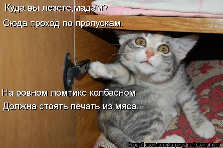 Котоматрица: Куда вы лезете,мадам? Сюда проход по пропускам. На ровном ломтике колбасном Должна стоять печать из мяса.