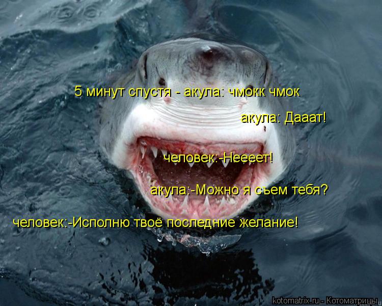 человек:-Исполню твоё последние желание! акула:-Можно я съем тебя? человек:-Неееет! акула: Дааат! 5 м... Котоматрица: человек:-Исполню твоё последние желание! акула:-Можно я съем тебя? человек:-Неееет! акула: Дааат! 5 минут спустя - акула: чмокк чмок