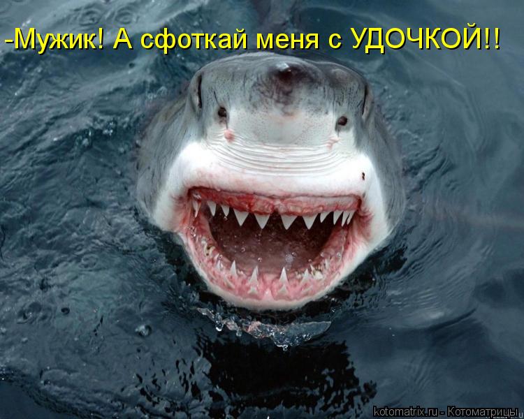 -Мужик! А сфоткай меня с УДОЧКОЙ!!... Котоматрица: -Мужик! А сфоткай меня с УДОЧКОЙ!!