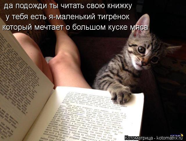 да подожди ты читать свою книжку у тебя есть я-маленький тигрёнок который мечтает о большом куске мяс... Котоматрица: да подожди ты читать свою книжку у тебя есть я-маленький тигрёнок который мечтает о большом куске мяса