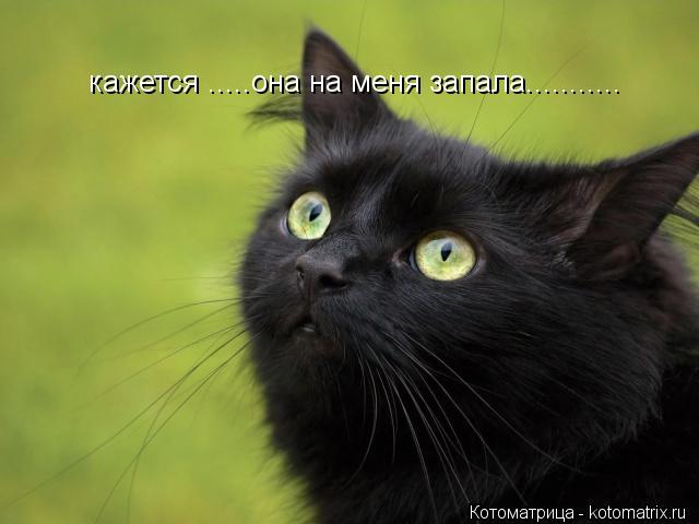 кажется .....она на меня запала.............. Котоматрица: кажется .....она на меня запала...........