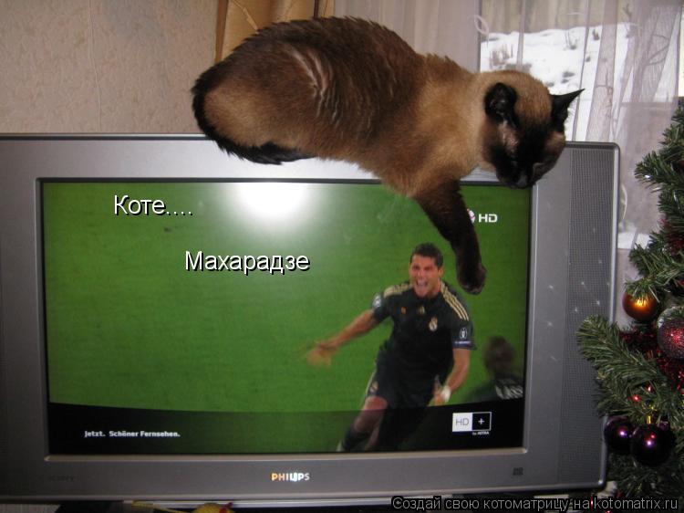 Коте.... Махарадзе... Котоматрица: Коте.... Махарадзе