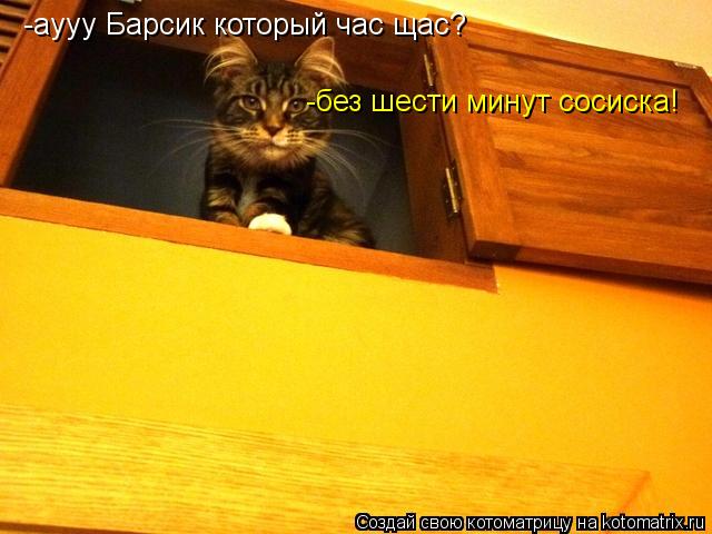 Котоматрица: -аууу Барсик который час щас? -без шести минут сосиска!