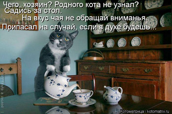 Чего, хозяин? Родного кота не узнал? Садись за стол. На вкус чая не обращай вниманья. Припасал на сл... Котоматрица: Чего, хозяин? Родного кота не узнал? Садись за стол. На вкус чая не обращай вниманья. Припасал на случай, если в духе будешь...